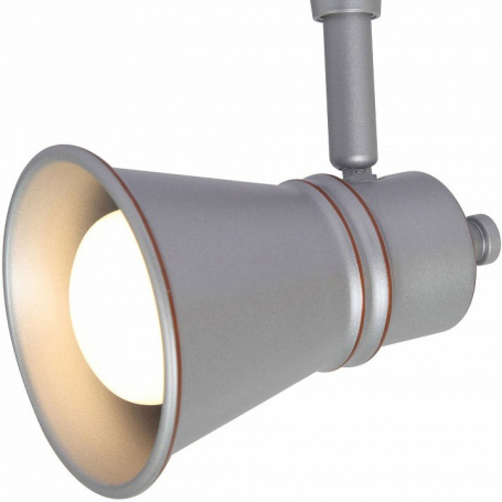 Потолочный светильник Arte Lamp 3057 A3057PL-1SI