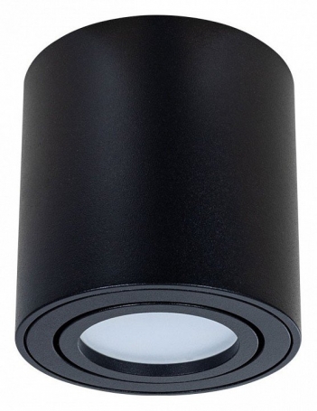 Потолочный светильник Arte Lamp Beid A1513PL-1BK