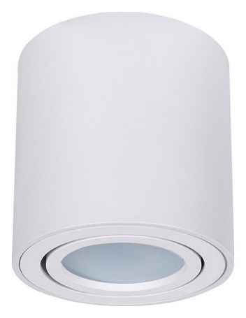 Потолочный светильник Arte Lamp Beid A1513PL-1WH