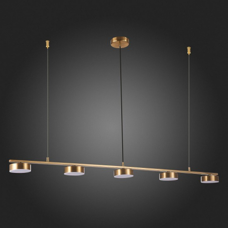 Подвесная светодиодная люстра ST Luce Pances SL6000.303.05