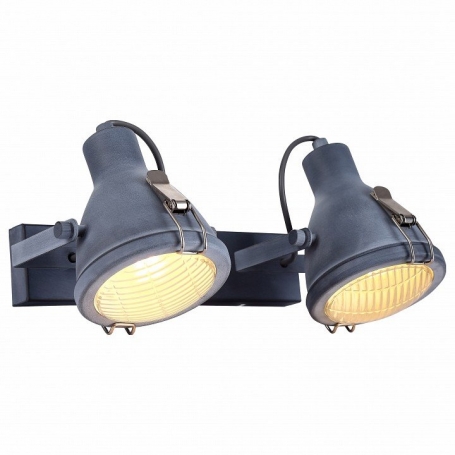 Спот Arte Lamp A9178AP-2GY