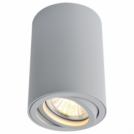 Потолочный светильник Arte Lamp A1560PL-1GY