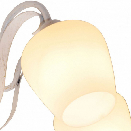 Потолочная люстра Toplight Abegail TL1133-5D