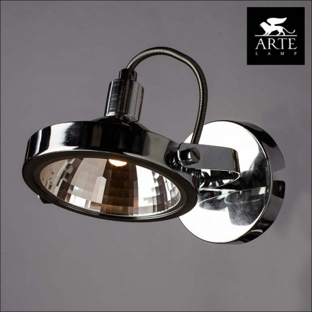 Настенно-потолочный светильник Arte Lamp Alieno A4506AP-1CC