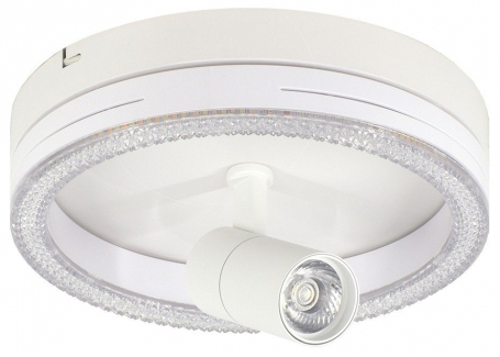 Настенно-потолочный светильник Escada 20044LED 20044SMA/02LED WH