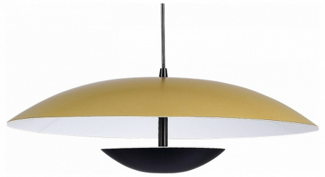 Подвесной светодиодный светильник ST Luce ARMONICO SL6502.203.01