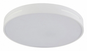 Потолочный светильник Modern LED LAMPS 81332