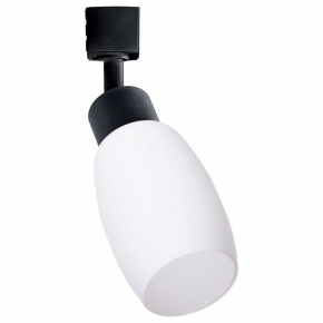 Трековый светильник Arte Lamp Miia A3055PL-1BK