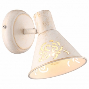 Настенно-потолочный светильник Arte Lamp Cono A5218AP-1WG