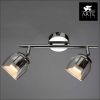 Настенно-потолочный светильник Arte Lamp Echeggio A1558AP-2CC