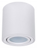 Потолочный светильник Arte Lamp Beid A1513PL-1WH