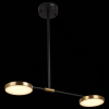 Светильник на штанге ST Luce Farone SL1605.403.02