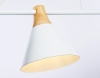 Подвесной светильник Ambrella light TRADITIONAL TR8196