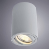 Потолочный светильник Arte Lamp A1560PL-1GY