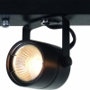 Потолочный светильник Arte Lamp Lente A1310PL-4BK