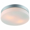 Потолочный светильник Arte Lamp Aqua A3211PL-2SI