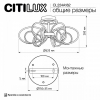 Потолочная люстра Citilux Salma Smart CL224A162